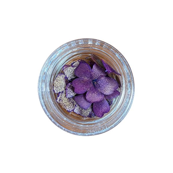 Flori uscate – violet închis